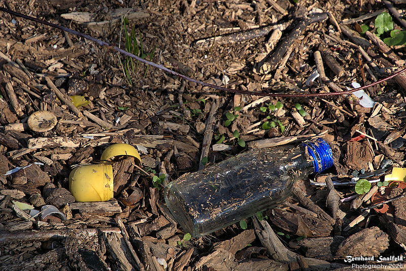 Bernhard Saalfeld - DSC01542 -1